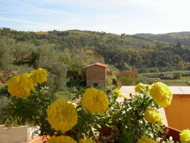 Villa La Malva Poggio alla Malva Esterno foto